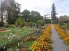 W ogrodzie botanicznym Uniwersytetu Jagiellońskiego.